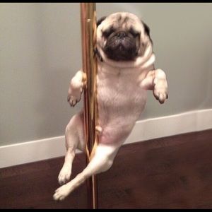 Meet your Posher, Georgia